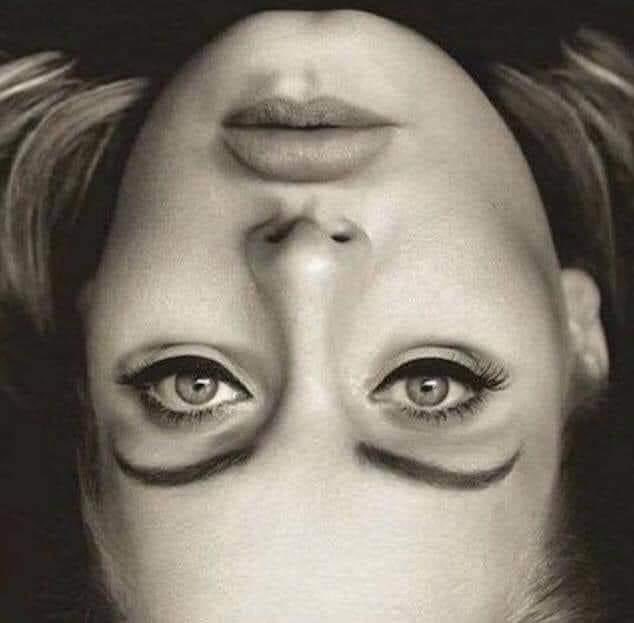 The Thatcher Effect:

This illusion highlights a flaw in how our brains work - we can't process an upside-down face because we are programmed to recognise faces the right way up.

We create a mental map by recognising the face in pieces - eyes, mouth, and nose.

So when we're