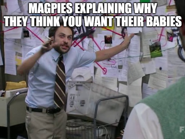 Airbabble (@airbabble) on Twitter photo 