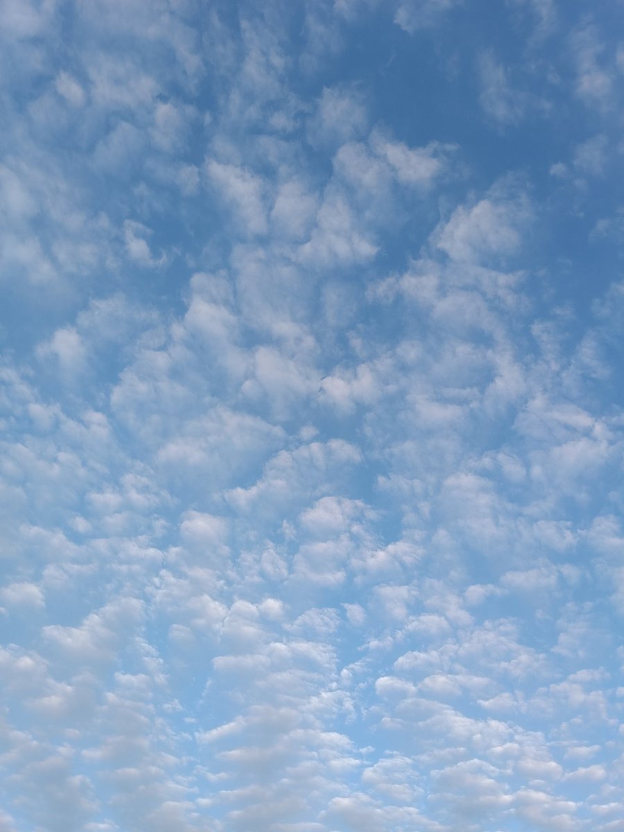 😶‍🌫️