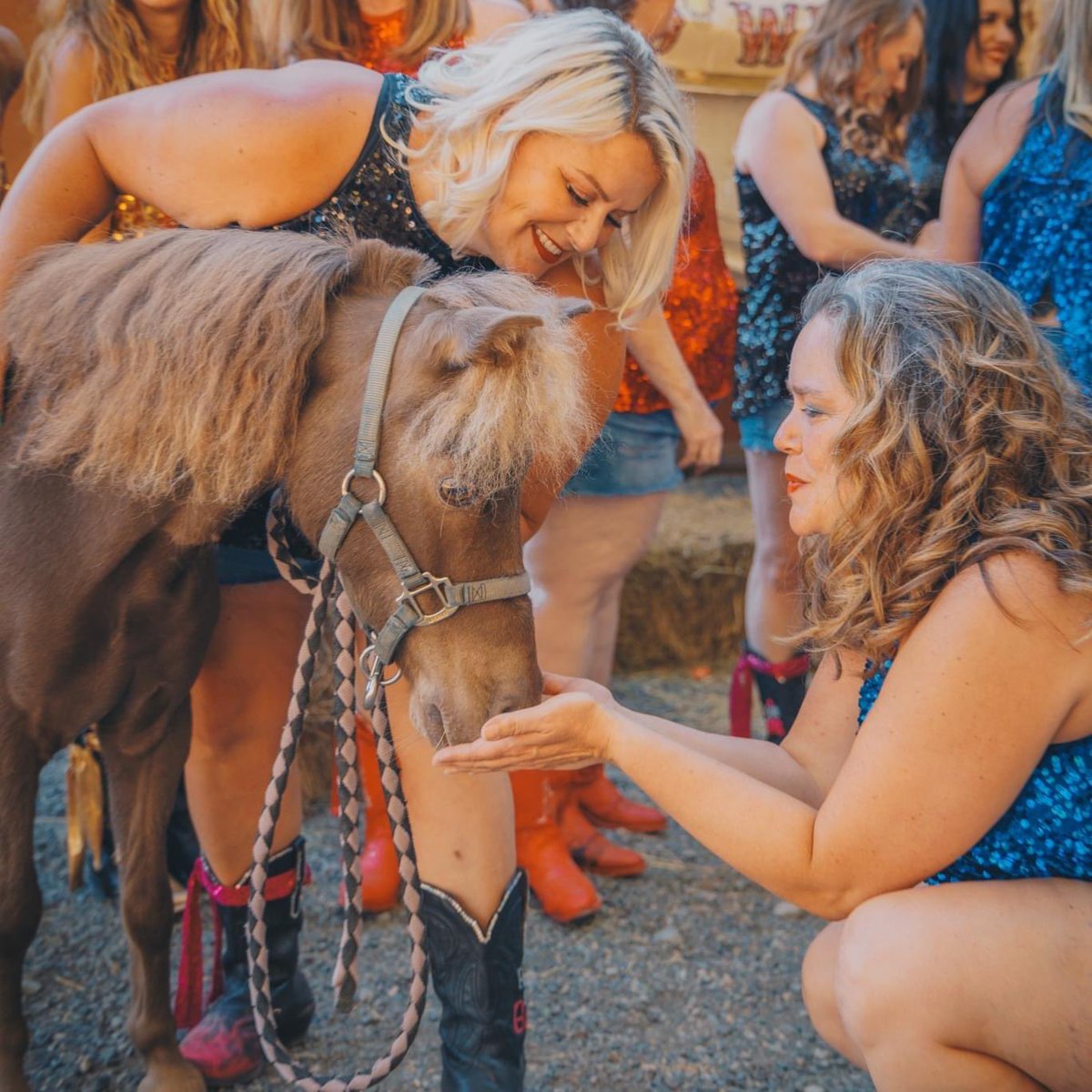 BootBoogieBabes's tweet image. COMPASSION connects us all ⭐️💙🫶 #BootSisterInspiration