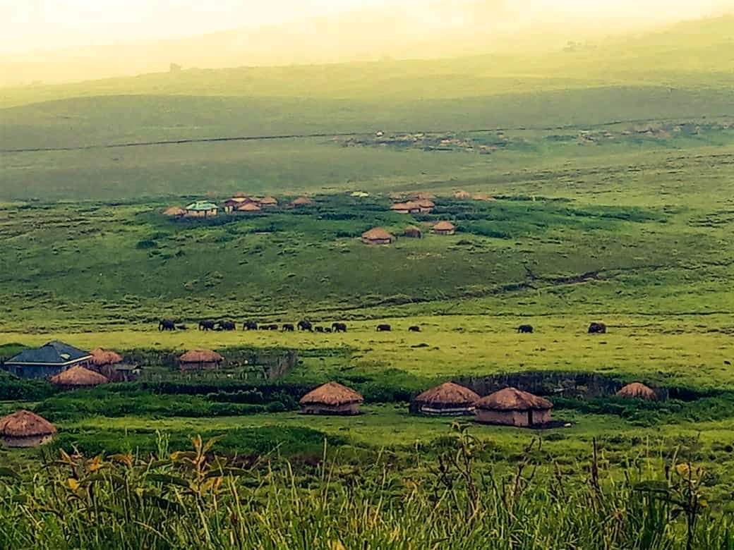 lewuantaiK's tweet photo. if my people who are called by my name humble themselves, pray, seek my face, and turn from their wicked ways, then I will hear from heaven, and will forgive their sin and heal their land" ...2 chronicles 7:12-14 #landscapes #ClimateActionNow #ClimateCrisis https://t.co/NuieJ61AaE