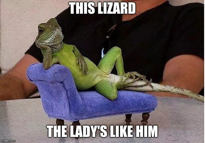 LizardOnHedera's tweet photo. Gm Lizards
#Lizard #LizardCoin #Hedera #HBAR #memecoin https://t.co/6exeboS0Xm