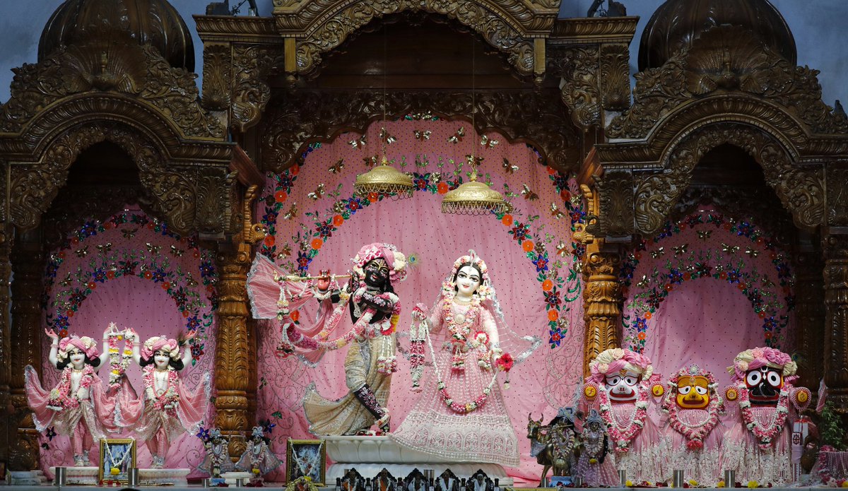 iskcon_noida's tweet photo. Hare Krishna,

Jhulan Yatra Day 2.

Sri Sri Radha Govind Dev ji Shringar Aarti Darshan, 28th Aug.

Please comment " Hare Krishna "  for pleasure of Sri Sri Govind Dev Ji.

#iskcon_noida #radheshyam #devotional #harekrishna #srimatiradharani #radheradhe #radharani https://t.co/WnyFsaGWf6