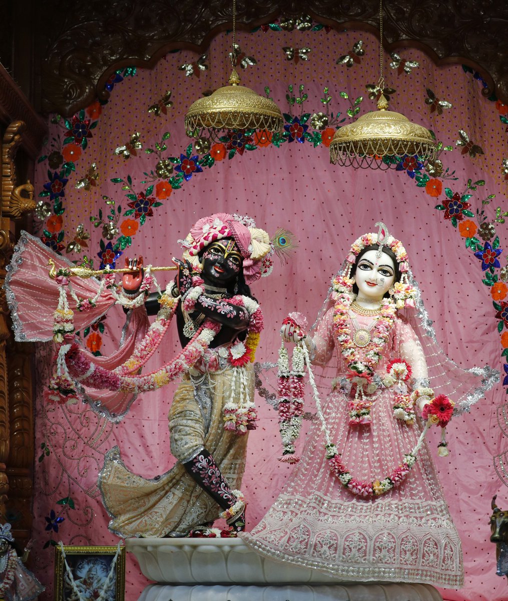 iskcon_noida's tweet photo. Hare Krishna,

Jhulan Yatra Day 2.

Sri Sri Radha Govind Dev ji Shringar Aarti Darshan, 28th Aug.

Please comment " Hare Krishna "  for pleasure of Sri Sri Govind Dev Ji.

#iskcon_noida #radheshyam #devotional #harekrishna #srimatiradharani #radheradhe #radharani https://t.co/WnyFsaGWf6