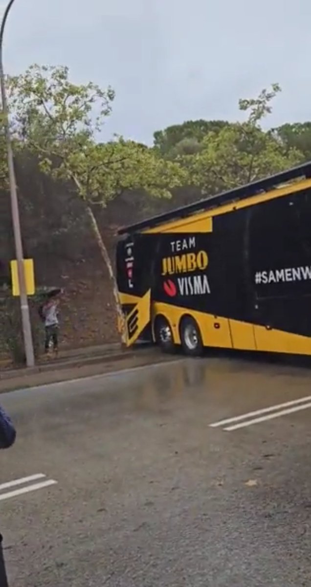 Rog the rhubarb tweet media