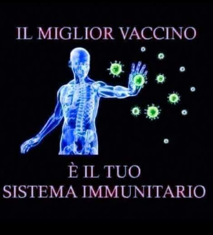 ADA79991318's tweet photo. @MaryamSenada @missypippi @8foctdr67 @AStramezzi @guidopensieri @CarloMVigano @Bart24196701 @adowasser @Agenzia_Ansa @BrandauerLudwig @LICIO15 @heather_parisi @RadioGenova @RadiosavanaI @DeodatoRibeira @ilcupo_m @RoyDeVita @OrtigiaP @dessere88fenice @RHolzeisen @LaVeritaWeb #FATEEEE #GIRAREEEEE #NON #VI #FERMATEEEE
#MASSIMAAAA #CONDIVISIONE ๐น๐น๐น๐น๐น๐น๐ฟ๐ฟ https://t.co/gDqslvwGno