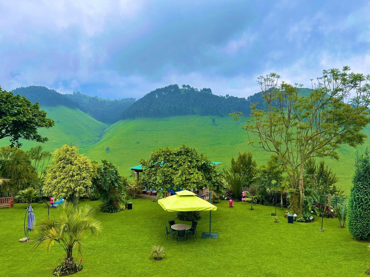 patientanz's tweet photo. #MushakiEnMasisi: Commencer la semaine en beauté avec la cité de Mushaki en territoire de Masisi, RDC. Bon début de semaine
#VisitCongo #VisitGoma #RDC #ExploreRDC #MotivationLundiEnRDC #BonjourMasisi #DecouverteDeMushaki https://t.co/K92GNQI1dF