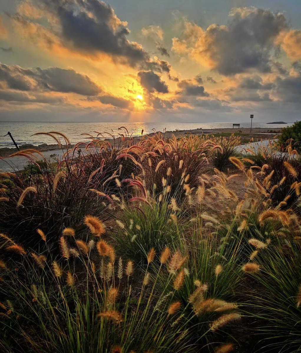 Majestic Cyprus. Photo by @magdalena_pourgouride  #cyprus #lovecyprus #zipern #visitcyprus #travel #sea #beach #holidays #explore  #photography #cyprusonlens #europe #pic #cyprustourism #blueisland #cyprusphotographer #travelblogger #cyprusphotography #cyprusphoto #cyprusnature