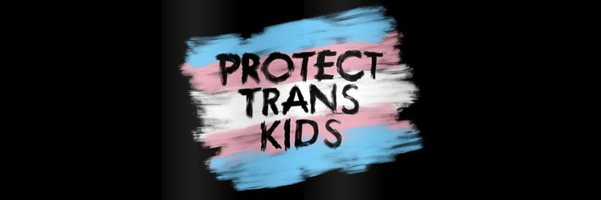 I have a new header pic on my profile. Feel free to use it. 🏳️‍⚧️
#ProtectTransKids