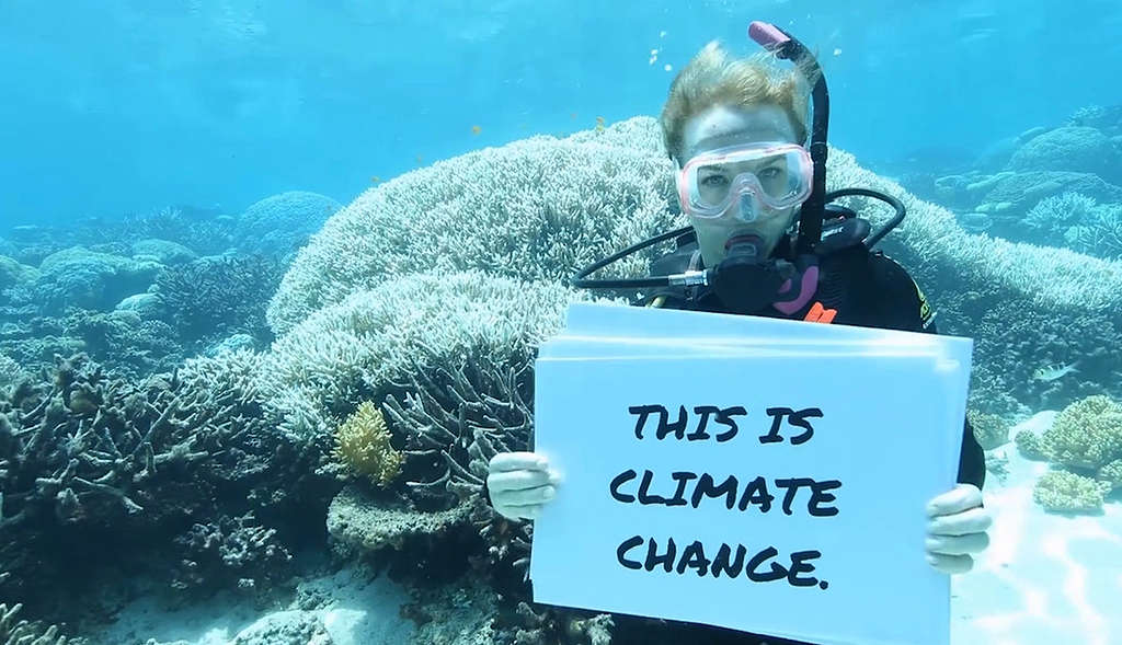 acgreencustom's tweet photo. 🌍 Climate cases flood courts worldwide, driving change and accountability. Justice for our planet is essential! #ClimateJustice #GlobalCourts #EnvironmentalProtection https://t.co/4hOfGszkU9