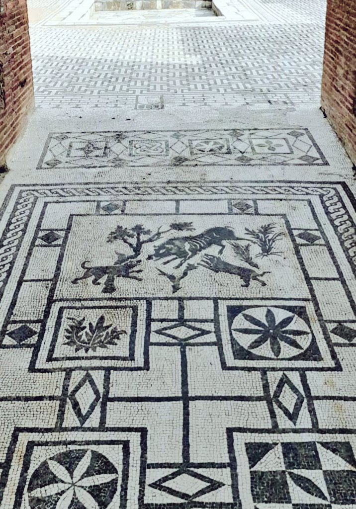 Jon Hawke 🏛️🏺 tweet media