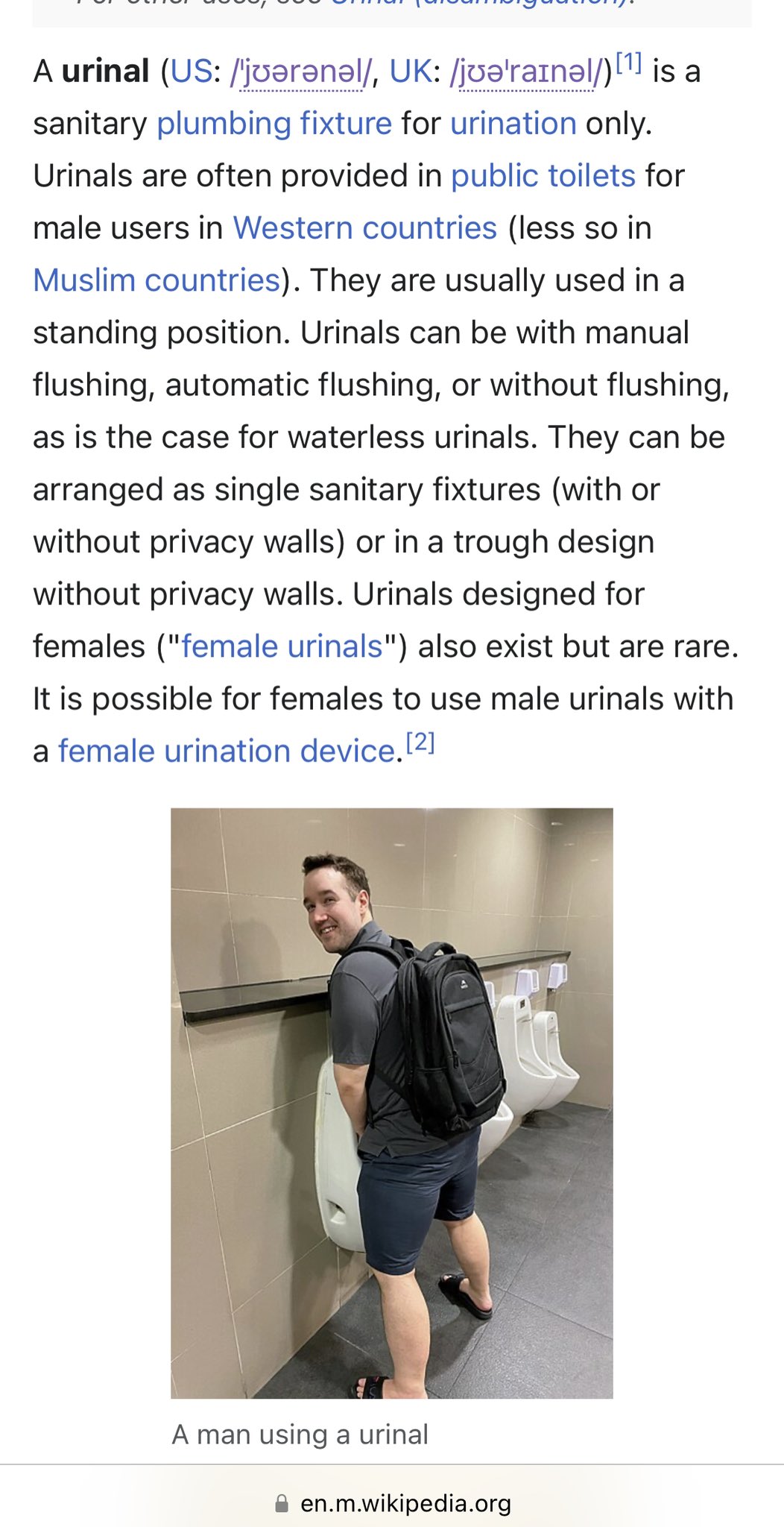 Urinal — Wikipédia