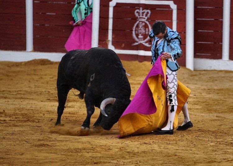 Es difícil hacerle al toro lo que se sueña de salón. Se lo hace.
Foto de Melanie Huertas y Mundotoro.