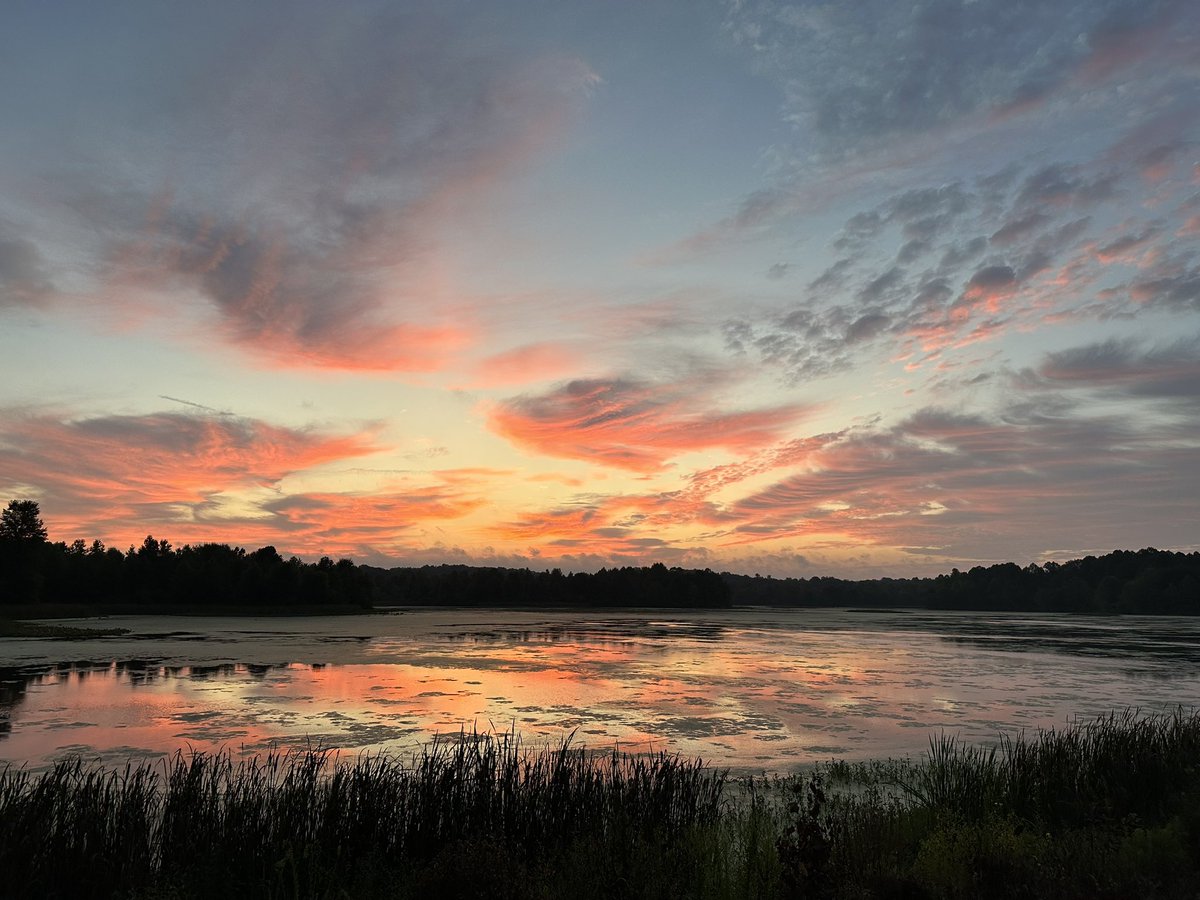 MEGARUBY's tweet photo. Sunrise yesterday at Muscatatuck National Wildlife Refuge #sunrise #usfws #nationalwildliferefugee https://t.co/lFVpxn2A7Z