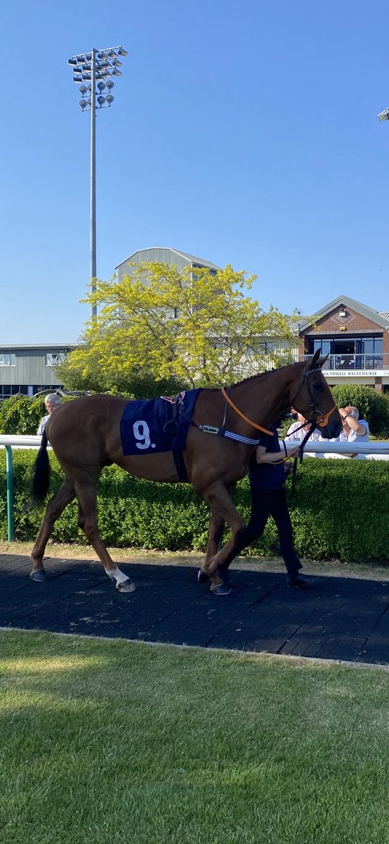 Cannot wait to see my boy out later, looked an absolute picture yesterday and loves this track. Run well and come home safe and sound, @DavidNo45583497 takes the ride for @ivanfurtado21 #Kid🏇🏻🏇🏻🏇🏻