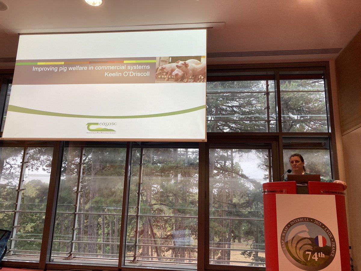 Laura Boyle ๐ฎ๐ช (@laboyle2) on Twitter photo First up at #eaap2023 and first up for <a href="/TeagascPig/">TeagascPig</a> is <a href="/KeelinODriscoll/">Keelin O'Driscoll</a> talking about how to improve #pigwelfare in commercial intensive production systems ๐๐ป๐๐ป๐๐ป First up at #eaap2023 and first up for <a href="/TeagascPig/">TeagascPig</a> is <a href="/KeelinODriscoll/">Keelin O'Driscoll</a> talking about how to improve #pigwelfare in commercial intensive production systems ๐๐ป๐๐ป๐๐ป