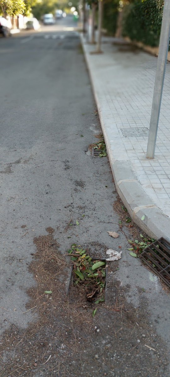 JaviSentidos's tweet photo. @SagredoMarco @AytoPaterna  alcantarillas con raíces y obstruidas en la 15 con la 425, y en las demás de la misma calle 425.  Gracias https://t.co/7mmalol7R6