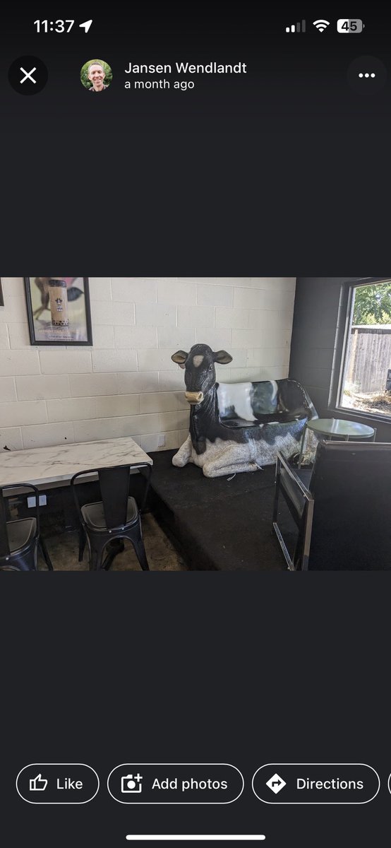 marysr_'s tweet photo. conversations were had on this cow-ch https://t.co/WIEMZ5xcAE