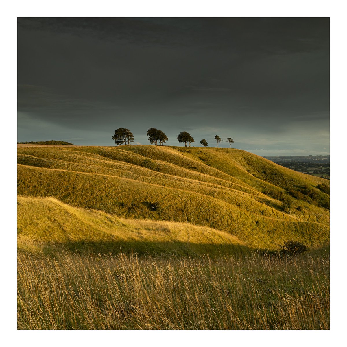 PERFECT STORM
I went searching for some sunset light amongst the stormy skies and boy did I find it! 

#ShareMondays2023 #FSPrintMonday #WexMondays #APPicoftheweek @StormHour #RoundwayDown #OliversCastle #Wiltshire @WiltshireLife  @VisitWiltshire @OPOTY @Benro_UK @kasefiltersuk