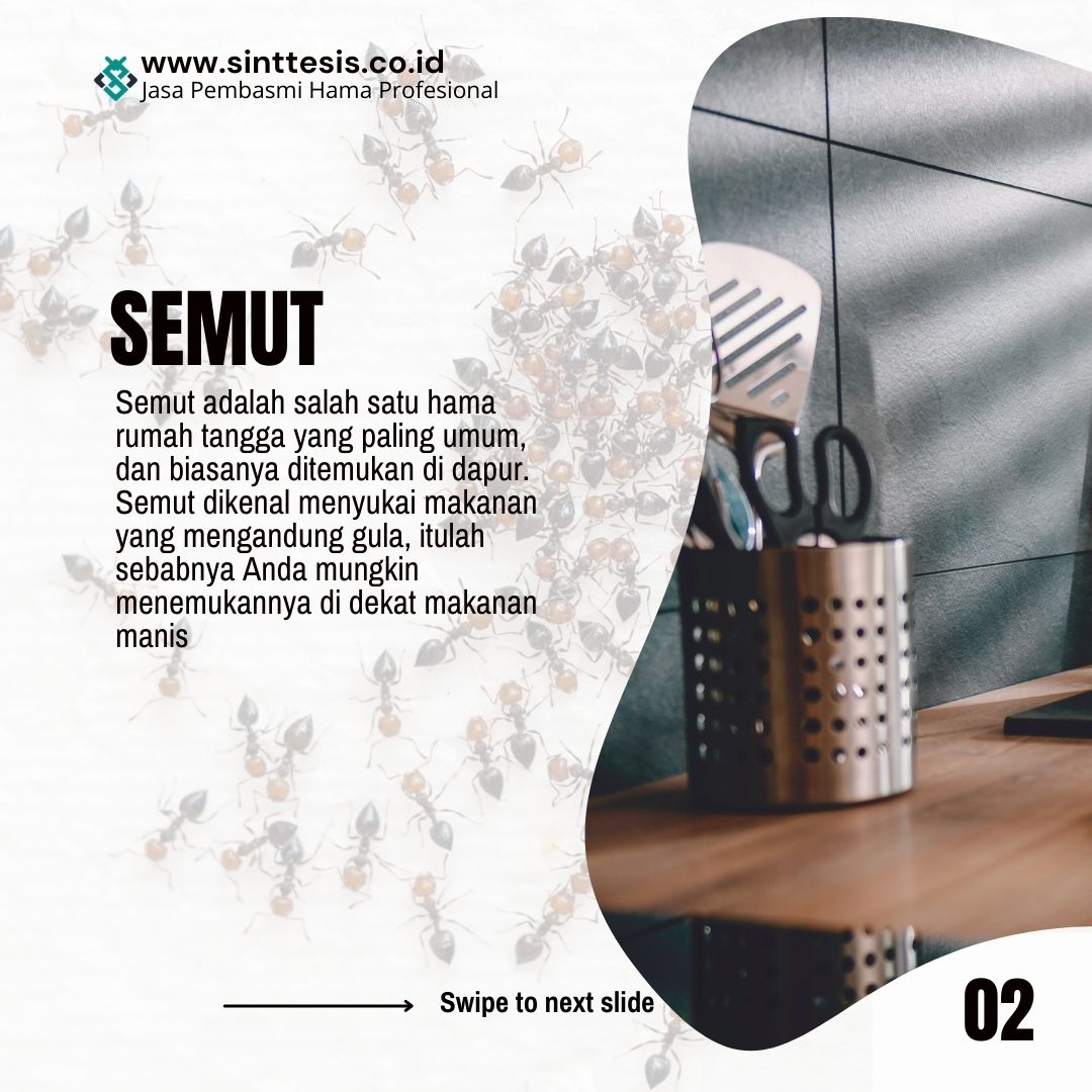 Sinttesis_'s tweet photo. Siapapun yang memiliki dapur perlu waspada terhadap berbagai macam hama yang biasanya menyukai dapur.
#sinttesis #antcontrol #ISO #antisemut #kecoa #tikus #antikecoa #industri #antitikus #pabrik #hotelbogor #pestcontrolramahlingkungan #hoteltangerang #fumigasi #dapur #semut https://t.co/63zqI1UhmA