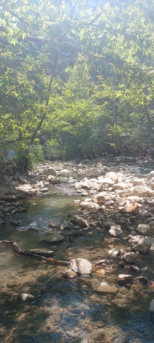 Nazan Baser (@ncbaser) on Twitter photo 