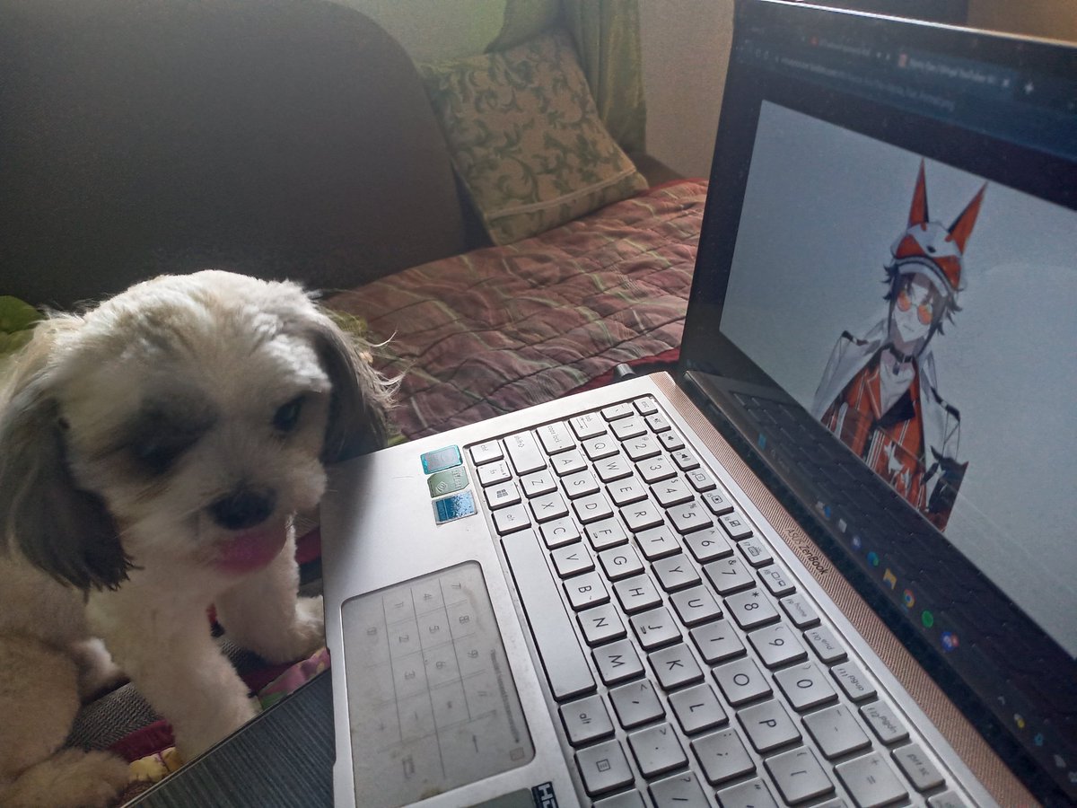 alkalyn_'s tweet photo. Me showing my dog the vtuber he was named after 🧡🦊

#GOODBYEMYSTA https://t.co/JxnThbed99