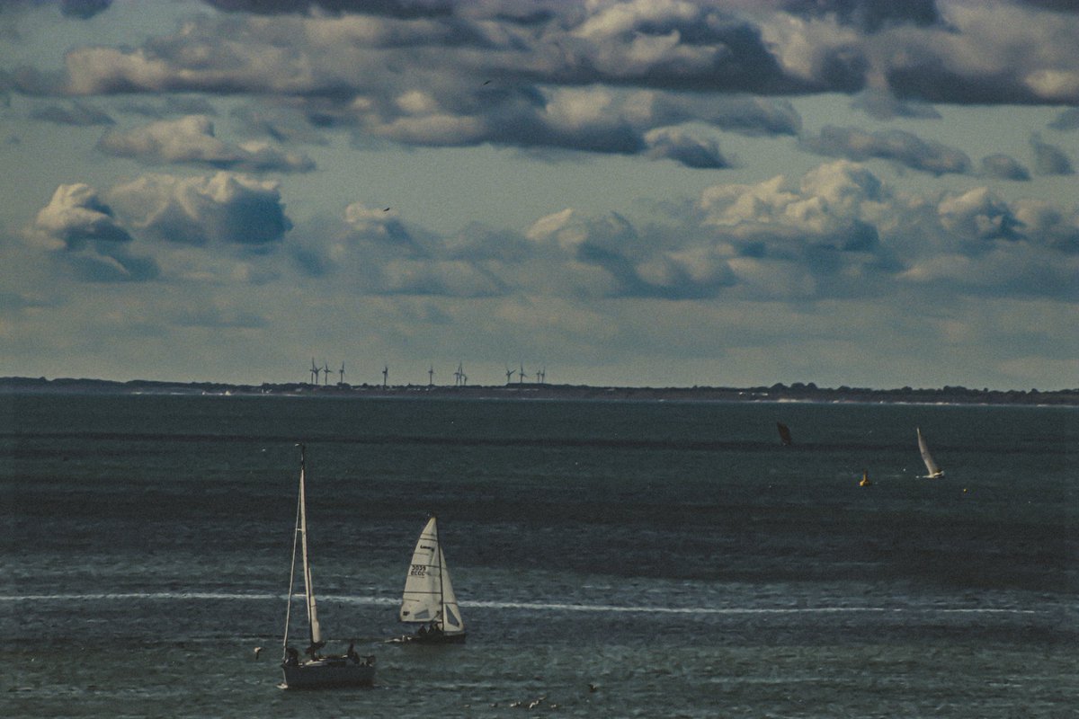 woolrich_photo's tweet photo. Sail away https://t.co/Afy2I2gnPU