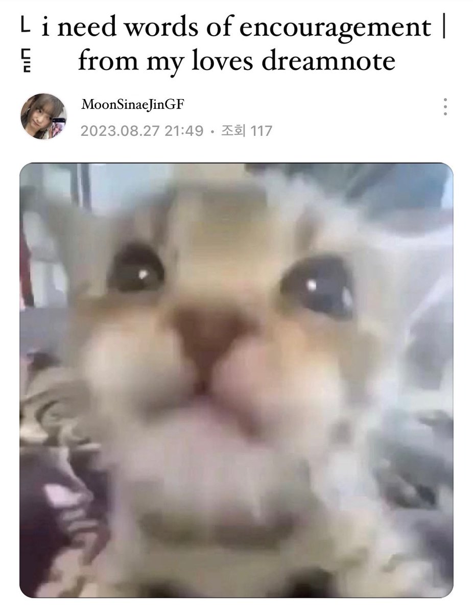 dddreamnote's tweet image. b.stage 💬 free talk

this debate(?) lara and sumin are in whether the Jin in OPs username (MoonSinaeJinGF) means real or ex or their surname 🤣

#dreamnote #lara #sumin