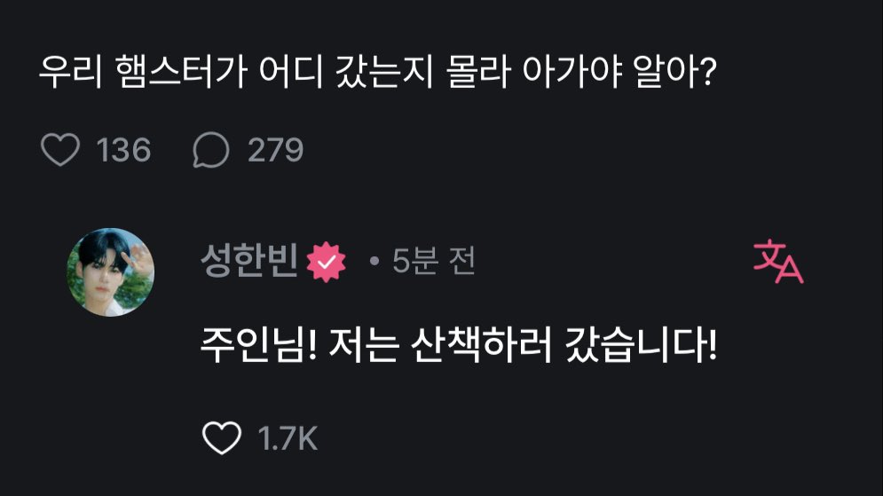 우리집 햄스터 개의젓하다 혼자 산책도 다녀오고