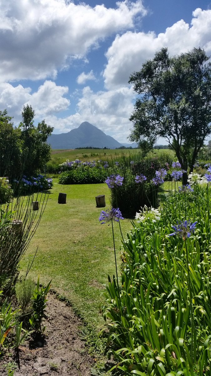 Blomplaas Self Catering Guest House is the perfect destination for those looking for a peaceful and relaxing getaway. 

083 273 1765
blomplaasguesthouse@gmail.com
#tsitsikamma #WedoTourism #exploresouthafrica #RediscoverTsitsikamma #GardenRoute #tsitsikammatourism