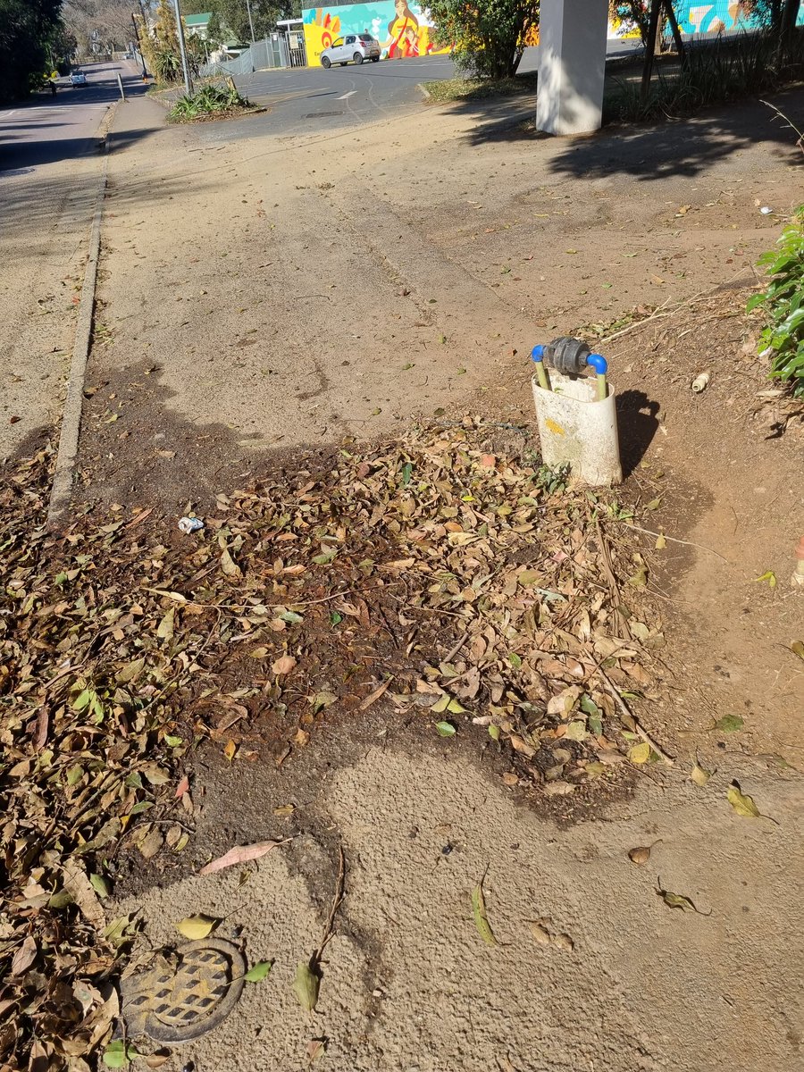 LittleMLittleK's tweet photo. @eThekwiniM meter leaking at 34 hospital road Hillcrest. This has been leaking now for the last 2 weeks. Please repair https://t.co/vrc4OKZvM6