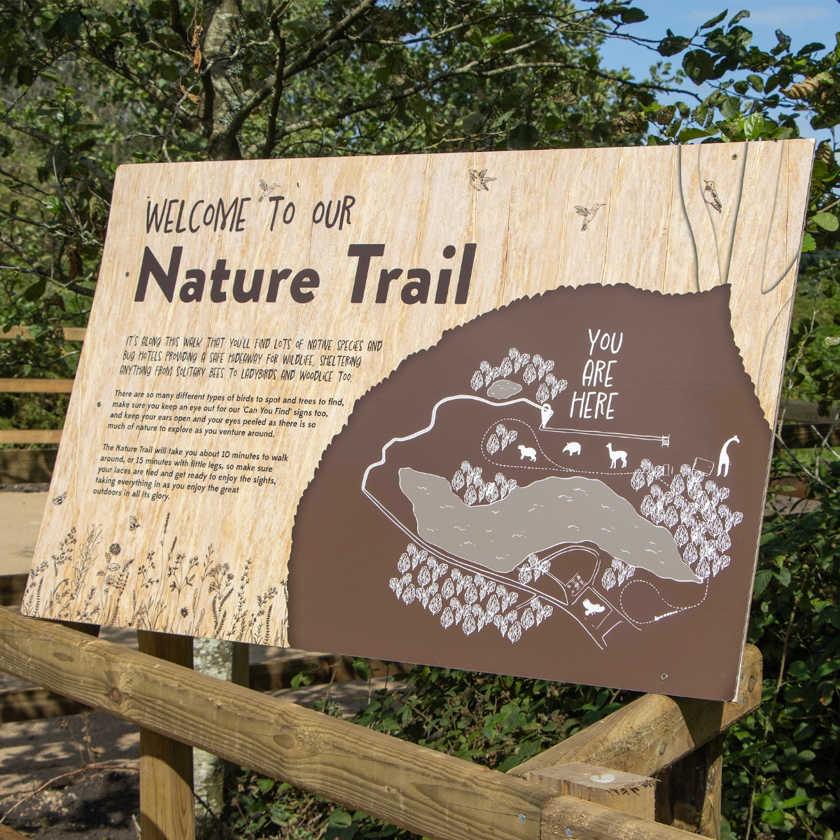 🌸🌟🍃 We are thrilled to announce our NEW Nature Trail during our Native Species Activities week! From birds and bees to butterflies and trees, it's the perfect spot for peaceful strolls, where you and your little ones can appreciate the local wildlife 🐝