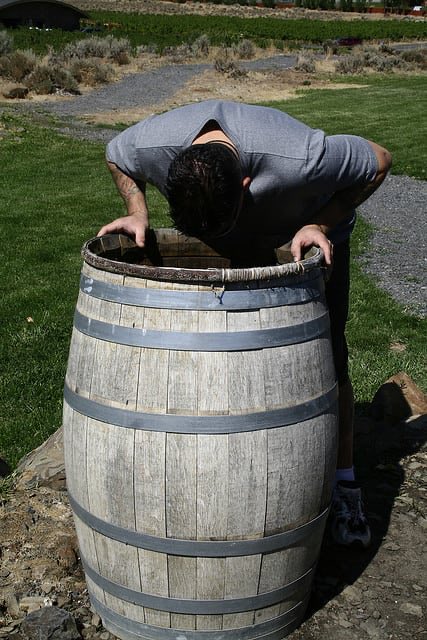 Born to Dance tweet media