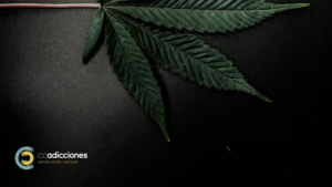 CCAdicciones's tweet photo. 🧠 ¿Sabías que las drogas afectan directamente al cerebro y su capacidad para tomar decisiones?

 Averigua cómo en nuestro último post. El primer paso es ser consciente de ello 😊

🔗https://t.co/3hx7f7zLZn https://t.co/vUsGVsz5Pt