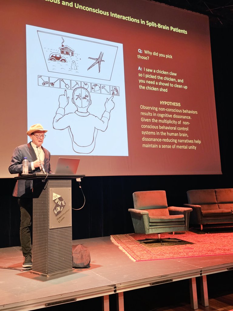 Tse Dorothy tweet media