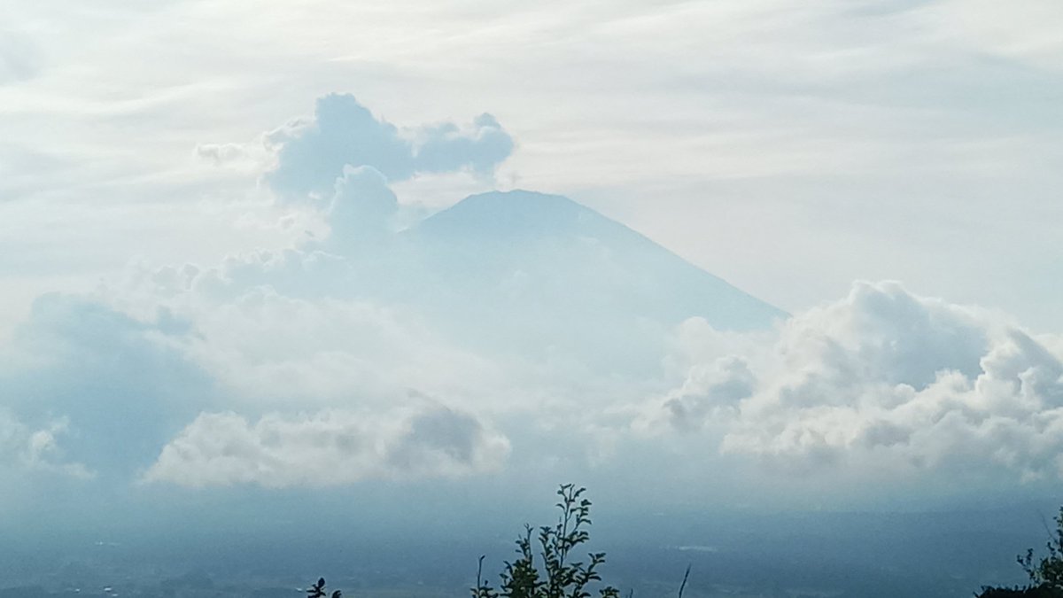 Agent7743's tweet photo. 現地 https://t.co/HtC70Fs7qM