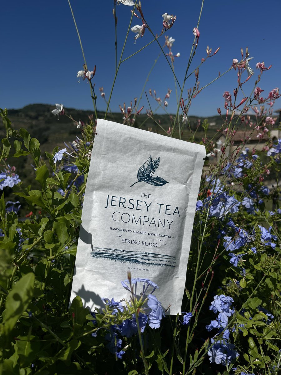 Our 2023 Summer Black Organic handcrafted whole leaf tea is a welcome treat - the warm amber liquor hints of smooth salted caramel notes with a soft light astringency. #organictea #jerseytea #wholeleaftea #compostablepackaging #premiumtea #finetea #finejerseytea #buylocal #jersey