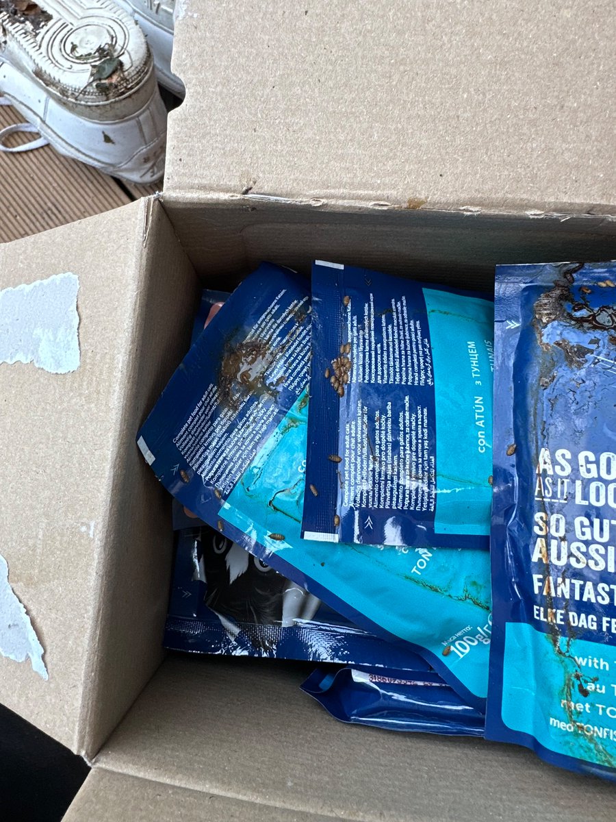 clunkers09's tweet photo. @AsdaServiceTeam thank you so much for the maggots, flies and eggs that came free with the Felix cat food!!  Such a treat for a bank holiday 🤢  😡 @wack3252 https://t.co/BiGJNzwYSB
