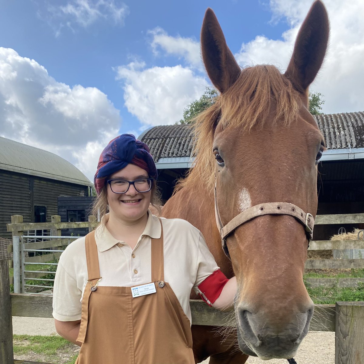 knights_skye's tweet photo. Had a blast being Land Girl at Retro Revival yesterday and was so much fun creating an activity all about WLA arm bands. 

#wla #renactment #retrorevival #1940s #youthengagement #heritage #musuem #horsesofinstagram #suffolkpunchhorse #bankholidayweekend #womenslandarmy #ww2 https://t.co/qXJtWTmIOM