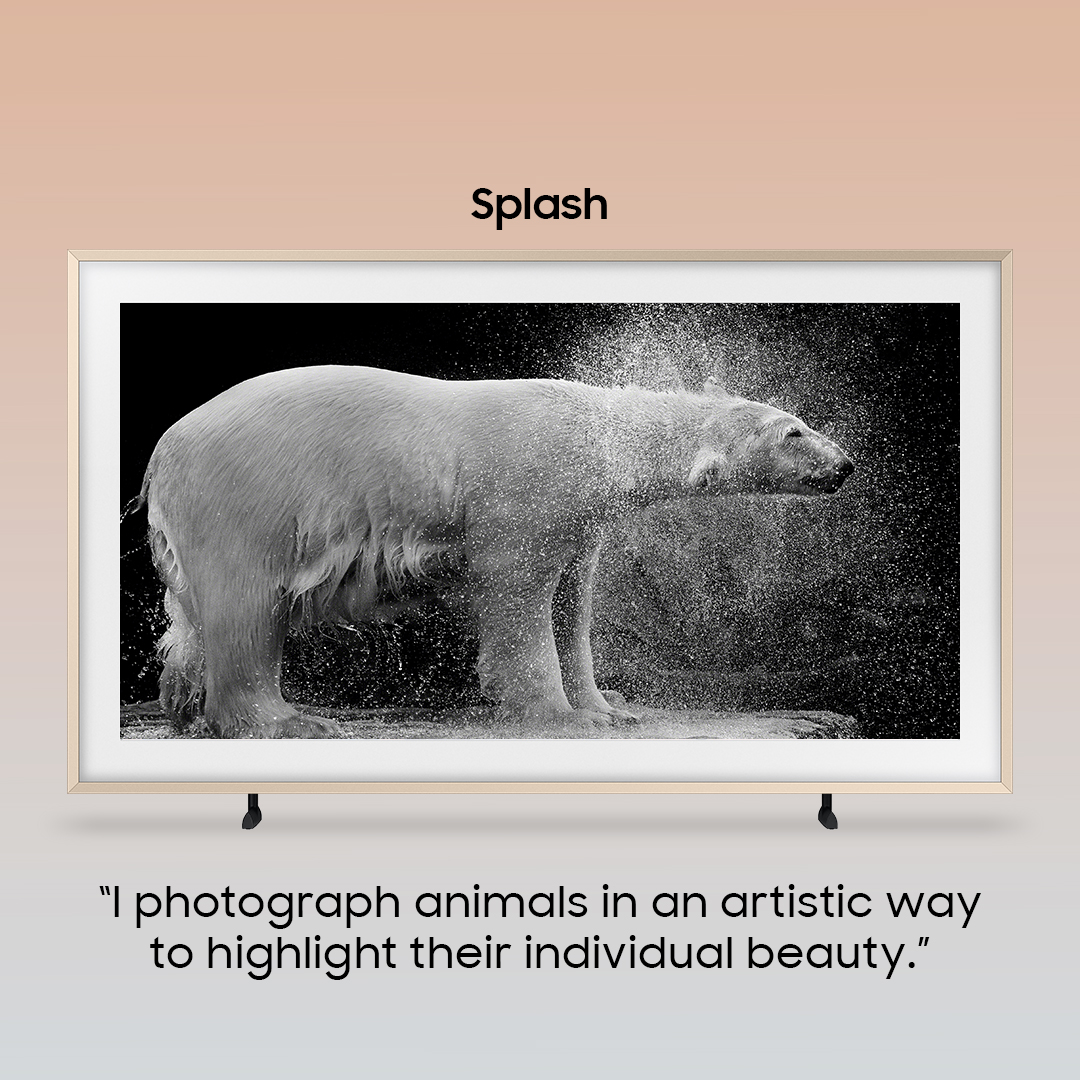 SamsungTV's tweet photo. His black-and-white portraits capture the individual elegance and emotions of zoo animals.
#WolfAdemeit #TheFrame #ArtStore #LifestyleTV #Samsung https://t.co/V06erbHQ5t