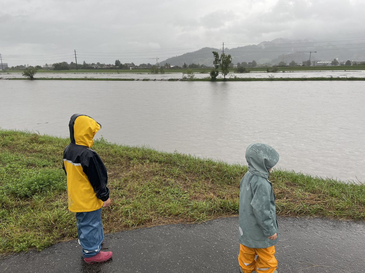 Michael Hämmerle tweet media