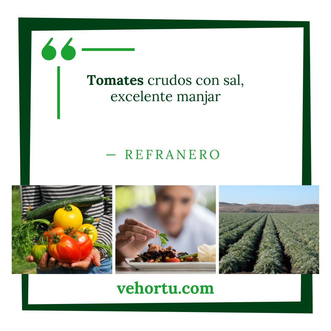 vehortu's tweet photo. 🧠☝️ ¿Conoces algún dicho más que puedas contarnos?
🌐 https://t.co/X8TD0XUCaP
#VerdurasdeNavarra #Vehortu https://t.co/T1T6zuPuw3