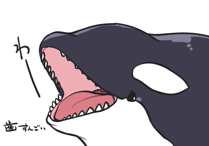 わー(思った以上に歯がすんごかった) 