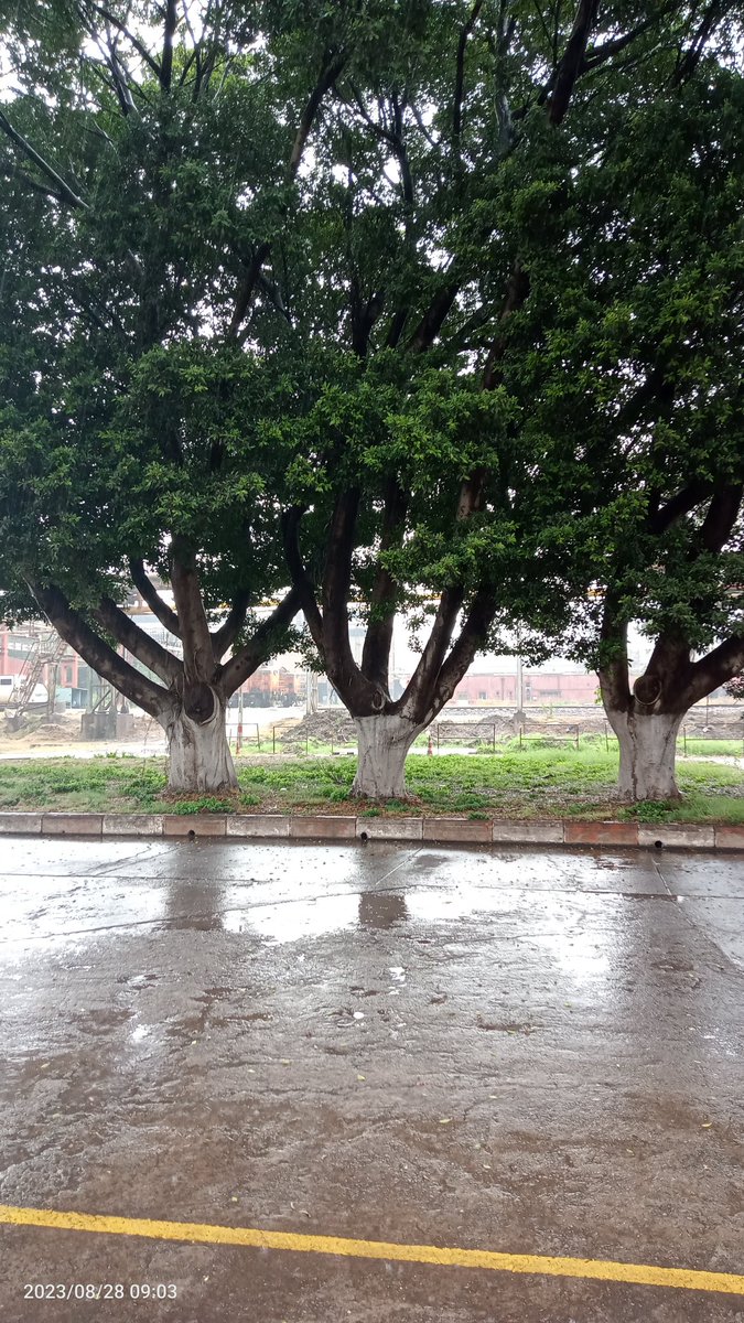 Ayscetn's tweet photo. Ben ne zaman araba yıkatsam yağmur yağar bu şehre ... Fonda duygusal müzik tabii. https://t.co/xVuQWnsqo7