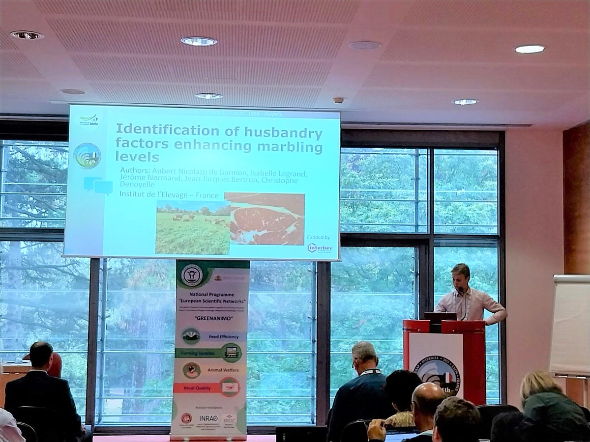 InstitutElevage's tweet photo. 🔴 En direct | Top Départ pour les interventions de nos collègues 🏁
✅ #IdeleEAAP2023
👉 Session 06 : Production of high-quality meat from ruminants and implementation of new technology in animal husbandry
📌 Avec notre collègue Aubert Nicolazo de Barmon
#EAAP2023 #SQCV_Idele https://t.co/36KfBoYBFm