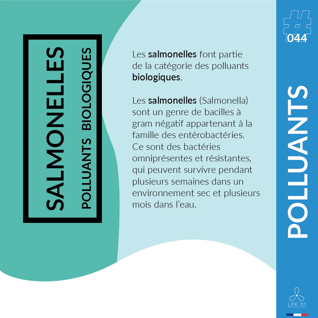 Polluants #044

Les salmonelles font partie de la catégorie des polluants biologiques. Ce sont des bactéries omniprésentes et résistantes, qui peuvent survivre pendant plusieurs semaines dans un environnement sec et plusieurs mois dans l’eau.

#IAQ #QAI #Life01 #Pollution #Sante