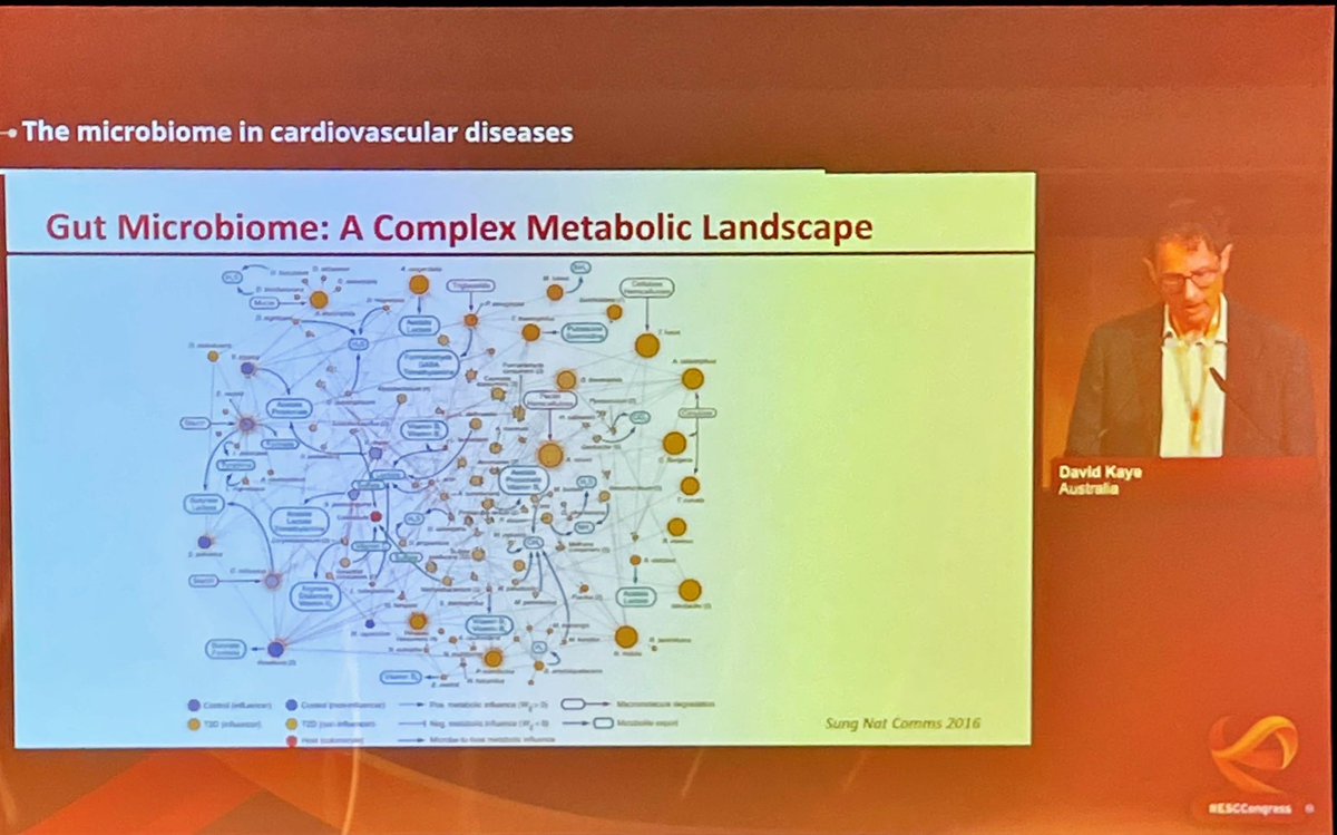 #ESC2023 #ESCCongress 🇳🇱
#CVPrevention #BasicScience

Metabolism and #CVD 😍
👉crucial role of #GM - future therapeutic approach?
👉aging women more susceptible to ⬇️ #LVEF - what is the exact mechanism?
👉circadian rhythm - reducing the eating window (8-10h) = better #CV health