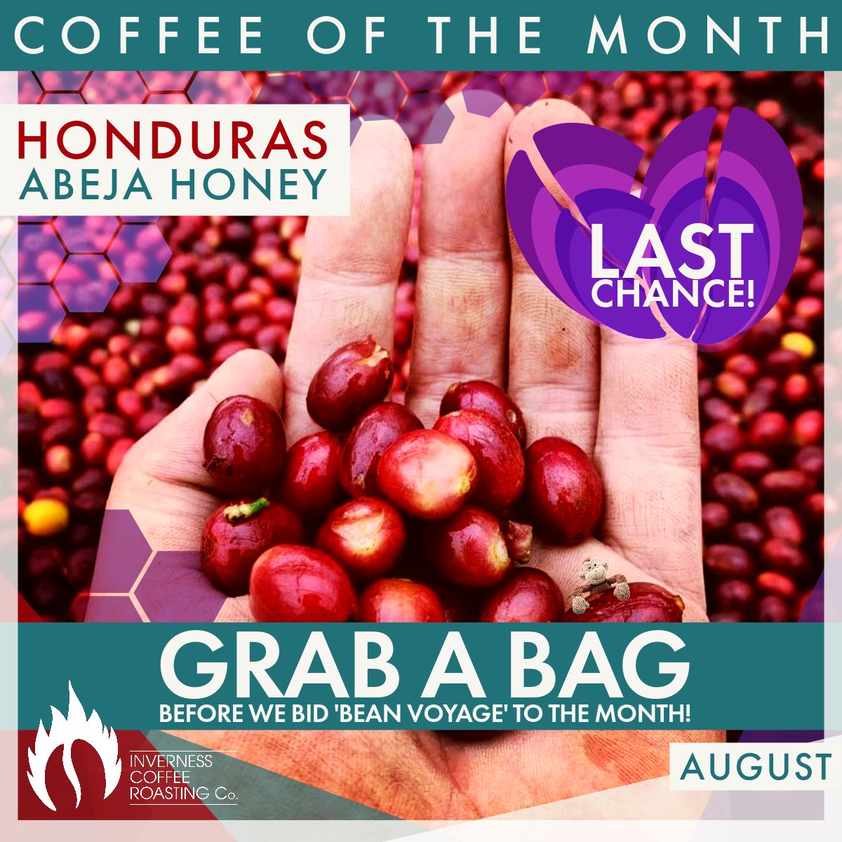August drawing to a close means new beans are inbound for September, buuut in the beantime, you can still order a bag or two of this Honduran brew 🐵
invernesscoffeeroasting.co.uk/collections/co…

#invernesscoffeeroastingco #coffeeroasters #coffeeshop #coffee #coffeeofthemonth #honduras #abeja #honey