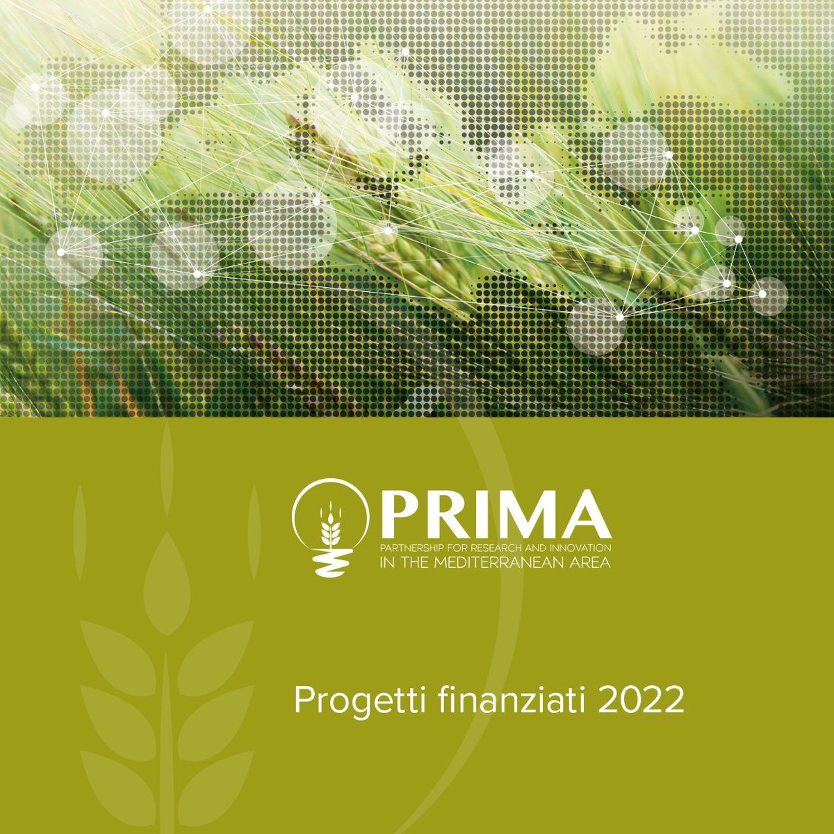 primaitaly's tweet photo. 📢#Ricerca e #Innovazione #agrifood nel Mediterraneo👉Scopri i progetti #PRIMA2022:
✅39progetti
✅61.2mln€
✅19 Paesi EuroMed
✅383 unità di ricerca
➡️Sfoglia il booklet, leggi le dichiarazioni🎙️di #GianluigiConsoli @MUR e @AngeloRiccaboni @PrimaProgram👉https://t.co/s1Dd312oGW https://t.co/P3jOh1S6DU