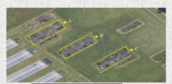 Job-alert: A new Postdoctoral Research Fellow position is available in Soil Microbial Ecology and Ecosystem Functions <a href="/westsyduhie/">Western Sydney U - HIE</a> 

with <a href="/Prof_Braj_Singh/">Prof Brajesh Singh</a> <a href="/EleonoraEgidi/">Eleonora Egidi (she/her)</a> <a href="/ManuDelBaq/">ManuDelgadoBaquerizo</a> 

Application deadline- 24 Sept, 2023

seek.com.au/job/69518045